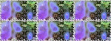 Tekrar eden çiçek arkaplanı, zarif gri ve menekşe çiçekli duvar kağıdı. Gri ve mor renklerde çiçek desenleri, el yapımı papatyalar, papatyalar..