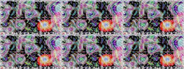 Çiçekli karalama şeklinde Raster çiçek deseni. Tarafsız ve siyah renklerde çiçekler. Yumuşak, yaz çiçekli arka plan.