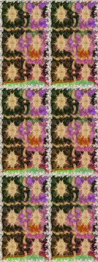 Kahverengi ve bej renklerde altın elementler. Duvar kâğıdı barok, İspanyol kumaşı. Çiçek deseni. Şık bir grafik desen. Kusursuz raster arkaplanı.