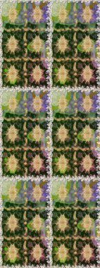 Duvar kâğıdı barok, İspanyol kumaşı. Şık bir grafik desen. Çiçek deseni. Kahverengi ve bej renklerde altın elementler. Kusursuz raster arkaplanı.