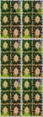 Kahverengi ve bej renklerde altın elementler. Şık bir grafik desen. Duvar kâğıdı barok, İspanyol kumaşı. Çiçek deseni. Kusursuz raster arkaplanı.