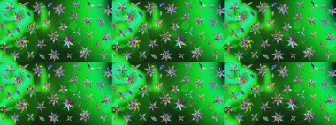 Çiçekler. Soyut etnik raster çizim kalıbı. Vadinin renkleri.