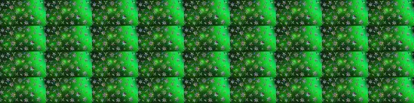 Çiçek deseni. Renkli çiçek çizimi. Şatafatlı bahar bahçesi dokusu. Raster illüstrasyonu. Renkli çiçekler.