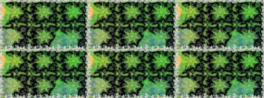 Çiçek deseni. Şık bir grafik desen. Kusursuz raster arka plan. Duvar kâğıdı barok, İspanyol kumaşı. Kahverengi ve bej renklerdeki altın elementler.