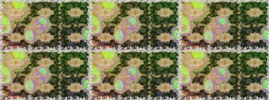 Şık bir grafik desen. Duvar kâğıdı barok, İspanyol kumaşı. Kusursuz raster arka plan. Çiçek deseni. Kahverengi ve bej renklerdeki altın elementler.