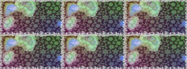 Üst manzara, yumuşak stil. Tarafsız renklerde manzaralı çiçek deseni. Sevgililer günü ve tebrik kartı konsepti için şık bir davetiye. Çiçek kompozisyonu, el boyası, hassas şablon..