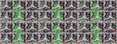 Nazikçe, güzel çiçek arkaplanı. Kahverengi renkli çiçekler. Raster çiçek desenli ve çiçekli..