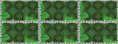 Küçük çiçekteki sevimli çiçek deseni. Raster illüstrasyonu. Yeşil renkte çiçekler.