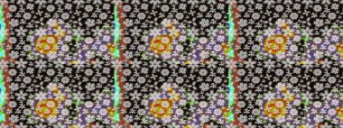 Siyah renklerde. Raster illüstrasyonu. Siyah renkte siyah papatya deseni.