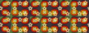 Gri kıvırcık çiçekler gri renkte şekillenir. Raster illüstrasyonu. Klasik çiçek tasarım elementleri.