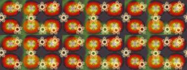 Gri kıvırcık çiçekler gri renkte şekillenir. Raster illüstrasyonu. Klasik çiçek tasarım elementleri.