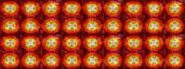 Meteoroloji buz koleksiyonu. Kar tanesi raster arka planı. Kış kırmızısı, turuncu ve kahverengi noel kar düz kristal element. Xmas Frost kar taneleri izole edilmiş siluet sembolü. Raster çizimi..