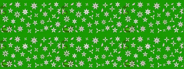 El yapımı çiçek ve bitki koleksiyonu. Raster illüstrasyonu. Şirin karalamalı çiçek desenli çizim. Raster illüstrasyonu. Çizim biçimi yeşil ve nötr renklerde.