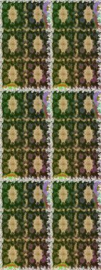 Şık bir grafik desen. Kahverengi ve bej renklerde altın elementler. Duvar kâğıdı barok, İspanyol kumaşı. Kusursuz raster arka plan. Çiçek deseni.