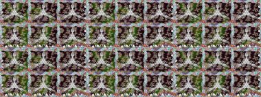 Kusursuz. Moda baskıları için zarif bir şablon. Küçük çiçekte güzel bir desen. Motley illüstrasyonu. Küçük renkli çiçekler. Çiçekli yaz çiçekleri.