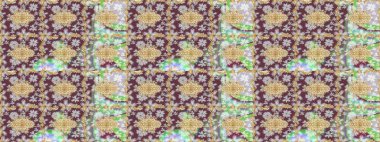 Raster illüstrasyonu. Kahverengi renkli ve altın elementli eskiz deseni. Klasik Raster altın desenini çiz. Klasik klasik klasik arka plan. Geleneksel oryantasyon süsü.