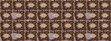 Kahverengi renklerde altın desenler ve altın elementler. Raster oryantal süs. Altın deseni çiz.