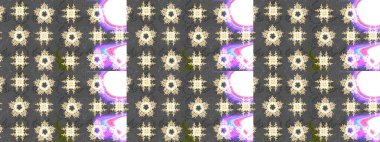 Gri ve beyaz renkli kar tanesi süsü. Kar taneleri izole edildi. Güzel süs eşyası. Kar tanesi süsü Raster illüstrasyonu.