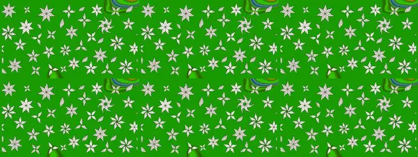 Raster Illustrasyon 'daki Çiçek Deseni' nin son moda çizimi. Düz Çiçek Elementleri Tasarımı. Renkli Yaz Temalı eskiz kalıbı. Güzel kumaş deseni.