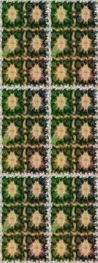 Çiçek deseni. Duvar kâğıdı barok, İspanyol kumaşı. Kusursuz raster arka plan. Kahverengi ve bej renklerde altın elementler. Şekil grafik deseni.