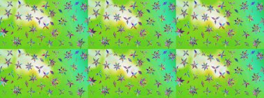 Raster güzel bir çiçek deseni çizmiş. Bahar mevsimi. Nazik romantik baskı. Tatil havası..