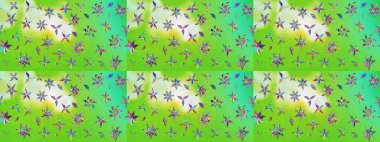 Sınır Kızılderili çiçekli paisley patten. Etnik Mandala havlusu. Raster Henna tarzı. Taslak süsleme izi. Tebrik kartı arkaplanı, boyama kitabı, arkaplan, tekstil için kullanılabilir.