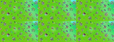 Parlak çiçekli kolaj çiçekleri yeşil ve mavi. Çiçekli zambakların eskiz geçmişi. Çiçek tasarımı için inanılmaz kolaj cennet tarzı..