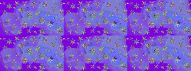 Raster çiçek desenleri çiziyor. Vadinin çiçekleri menekşe ve mavi renklerde.