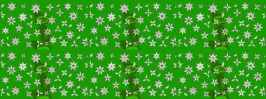 Tekrar eden çiçek arkaplanı, zarif yeşil ve nötr çiçek duvar kağıdı. Yeşil ve nötr renkler üzerine çiçek desenli çizimler, el yapımı papatyalar, papatyalar..