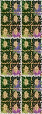 Çiçek deseni. Duvar kâğıdı barok, İspanyol kumaşı. Kusursuz raster arka plan. Kahverengi ve bej renklerde altın elementler. Şekil grafik deseni.