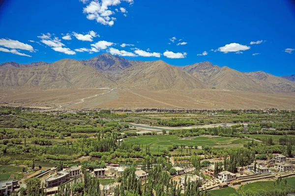Buzul Manzarası, Leh Ladakh, Hindistan