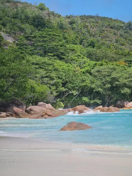 Eden Island Marina Luxury Yachts Mahe Seychelles — Fotografia de Stock
