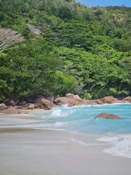 Eden Island Marina Luxury Yachts Mahe Seychelles — Fotografia de Stock