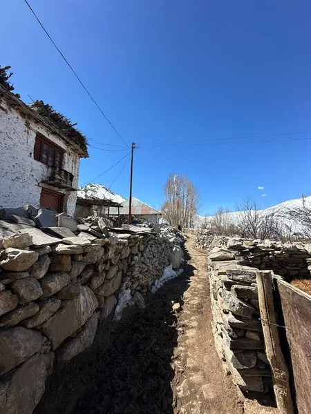 Hindistan, Spiti Vadisi 'ndeki Kee Manastırı manzarası