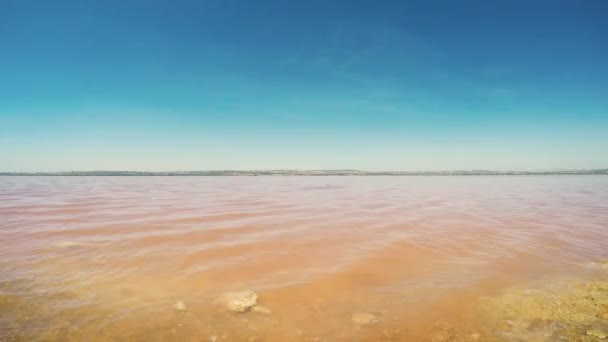 Brown Shore Line Pink Sea Awesome Royalty Free Video File — Stock Video