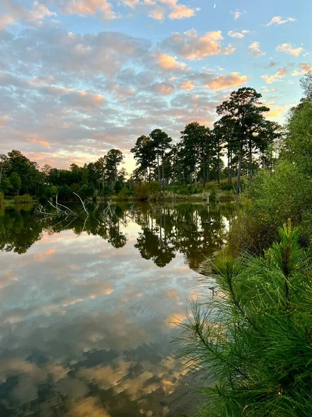 壮观而壮观的天空场景 在宁静的林地湖上 一片粉色和蓝色的云彩展现了大自然令人敬畏的美丽 — 图库照片