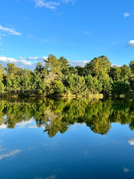 雄伟的蓝天和蓬松的白天完美地映衬在平静的林地池塘里 — 图库照片