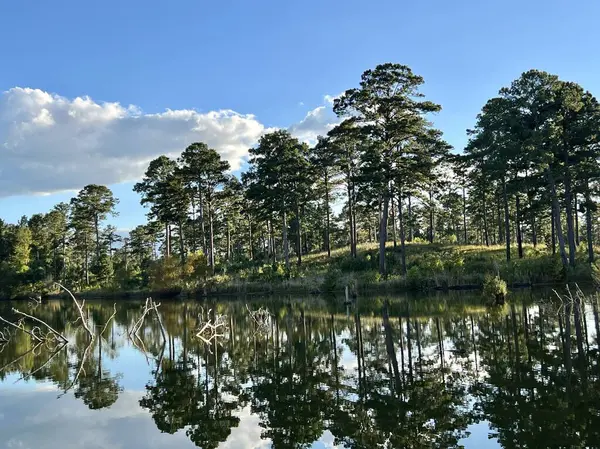 雄伟的蓝天和蓬松的白天完美地映衬在平静的林地池塘里 — 图库照片