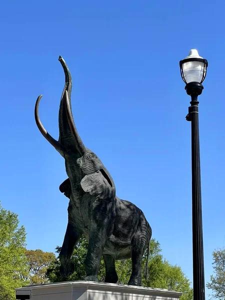 stock image American college landmarks - the University of Alabama 