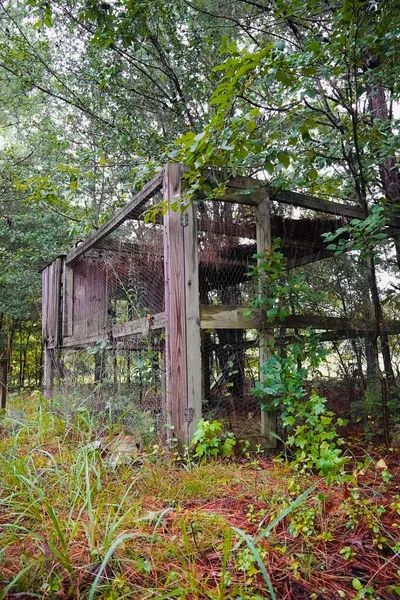 Abandoned Overgrown Chicken Coop Sitting Empty Edge Woods — Stock Photo, Image
