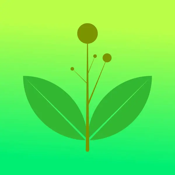 Düz çiçek tasarımının sanat & tasviri