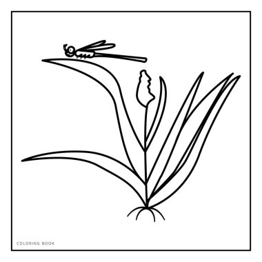 Boyama kitabı için uygun doğal boyama kitabı 