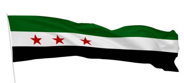 Yeni Suriye Arap Cumhuriyeti Bayrağı, Suriye için Özgürlük. 8 Aralık, Ulusal Gün