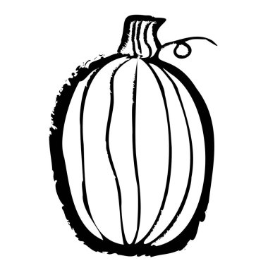 El yapımı balkabağı skeci. Beyaz arka planda izole edilmiş olgun kabak. Çizgi film tarzında sağlıklı organik sebzelerin doğrusal sanatı. Mürekkep çizimi. Menü için vektör illüstrasyonu, çiftçi pazarları, yazdırma