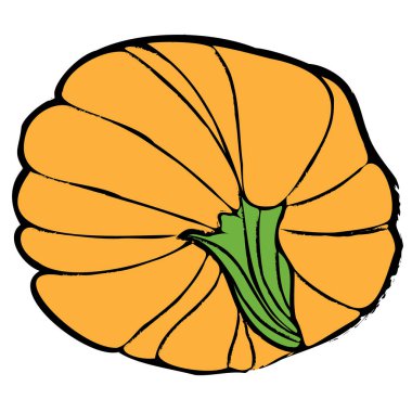 El yapımı balkabağı skeci. Beyaz arka planda izole edilmiş olgun kabak. Çizgi film tarzında sağlıklı organik sebzelerin doğrusal sanatı. Mürekkep çizimi. Menü için vektör illüstrasyonu, çiftçi pazarları, yazdırma