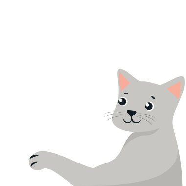 Beyaz arka plan ve gri vektör kedi düz şekilde. Kedi patisini beyaz bir arka plana uzattı. Hayvanlar, kartlar ve hayvanlı arka planlar.