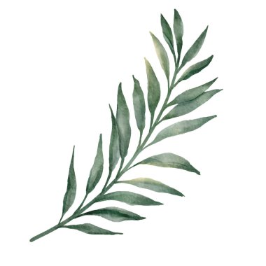 İzole edilmiş tropikal yaprakların dijital suluboya resmi. Suluboya dalı