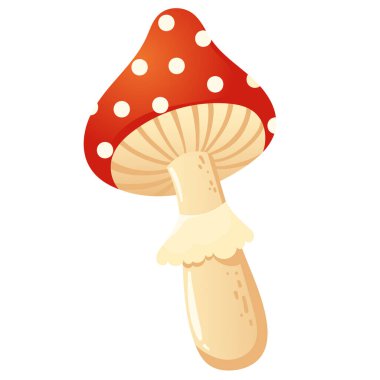 Beyaz benekli ve etekli kırmızı bir mantarın vektör çizimi. Mantar mantarı. Beyaz arkaplanda izole edilmiş kırmızı mantar