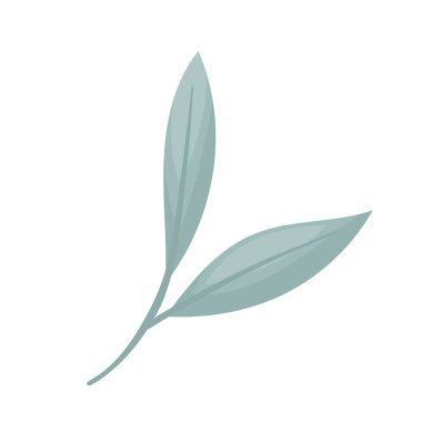 Sonsuza dek yeşil ve kış çiçeklerinin mavi vektör dalı. Tasarım için yaprakların vektör illüstrasyonu. Beyaz arka planda el çizimi dallar. Doğal ve organik tasarımlar için tasarım ögesi.