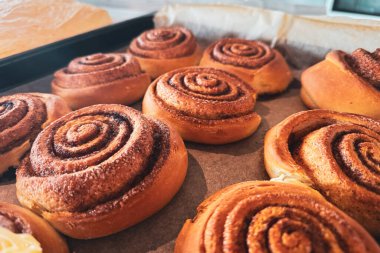 Kabartma kağıdında nefis tarçınlı börekler, yan görüş. Yeni pişmiş tarçınlı ruloların arka planı. Maya hamurundan yapılmış ev yapımı tatlı hamur tatlısı..